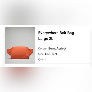 LULULEMON 2L everywhere bag